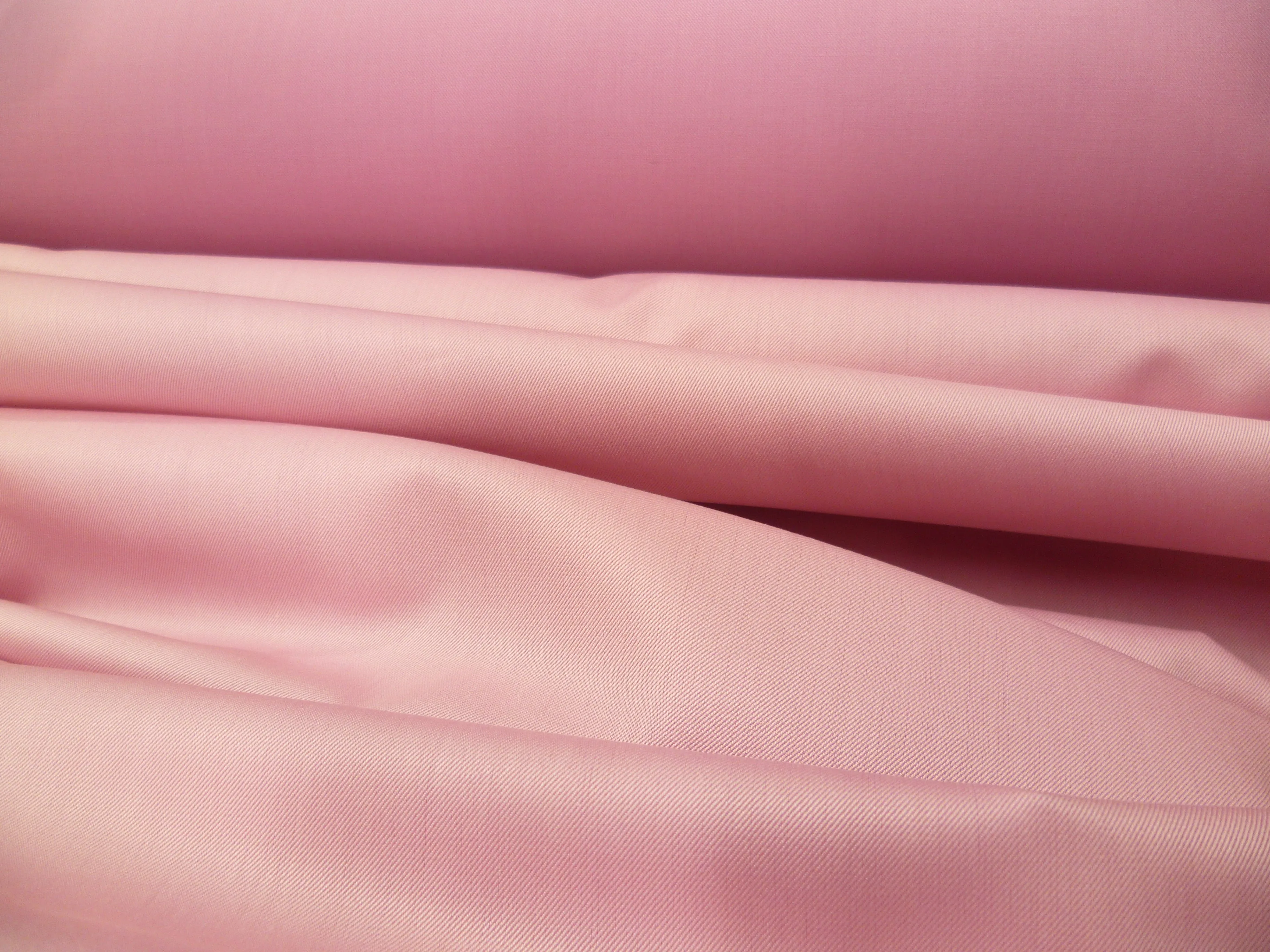 100 % Egyptian cotton ( NEW  )
